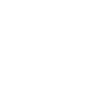 RiS_Logo_Small_Sizes_Whiteout_RGB